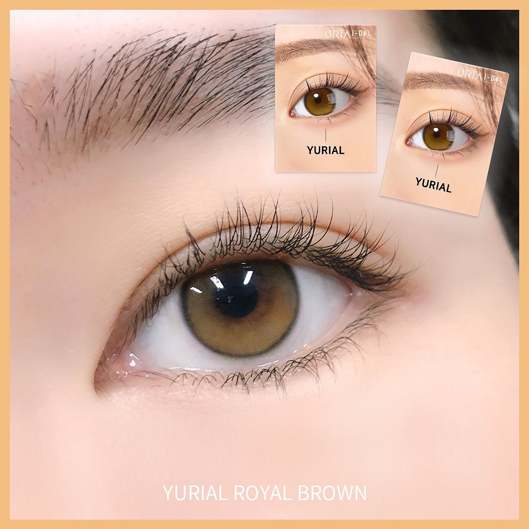 1 Year - Yurial Royal Brown